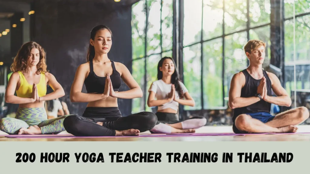 Boost Productivity - A 200 Hour Yoga Teacher Training In Thailand 